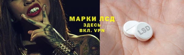 гидра Алексин