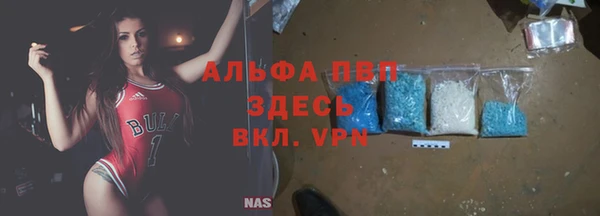 сатива Елабуга