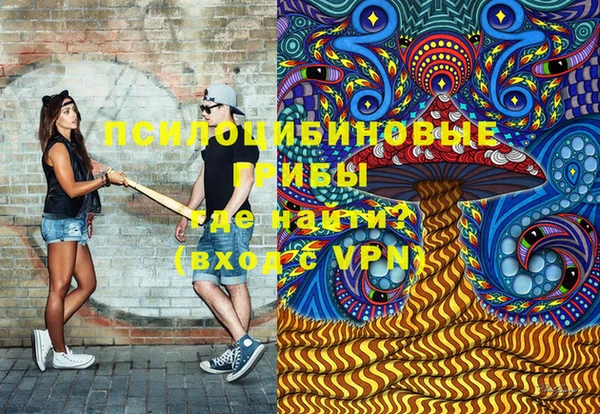 гидра Алексин