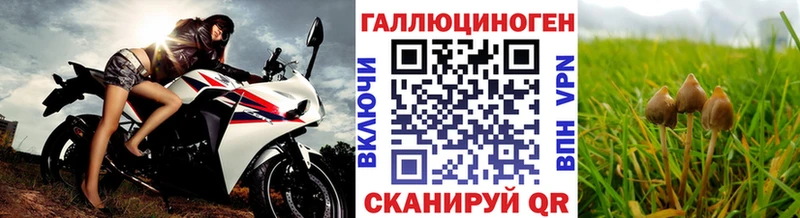 Псилоцибиновые грибы Magic Shrooms  купить наркотики цена  Углич 