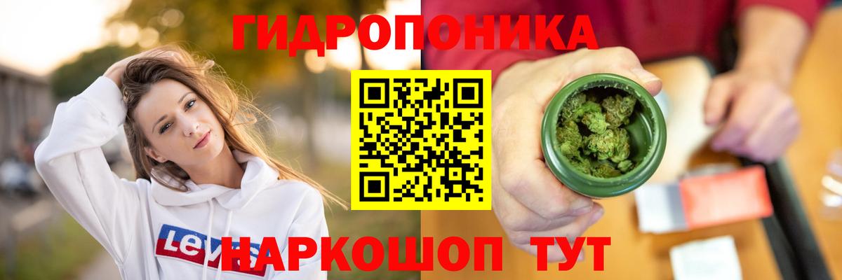 Каннабис планчик  Вход с VPN  МАРИХУАНА Bruce Banner  МАРИХУАНА гибрид  Углич  МАРИХУАНА конопля 